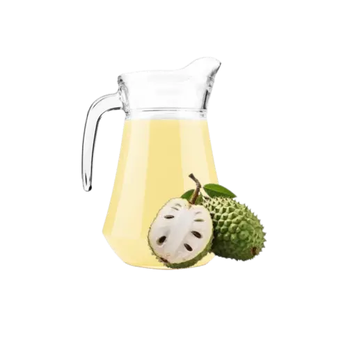 SUCO DE GRAVIOLA 1L.webp