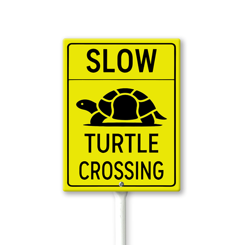 slow turtle crossing 002.png
