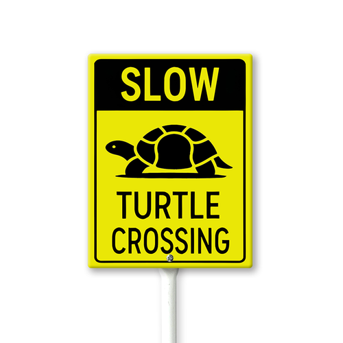 slow turtle crossing 001.png