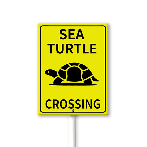 sea turle crossing.png