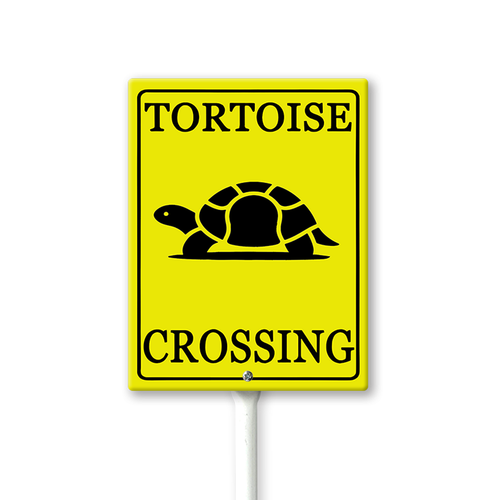 turtle crossing.png