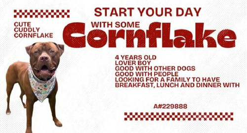 GxqzaiuWgAAlFWb.jpg