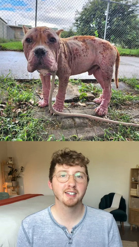 Z8e cL8bCPEK9gjQ.jpg