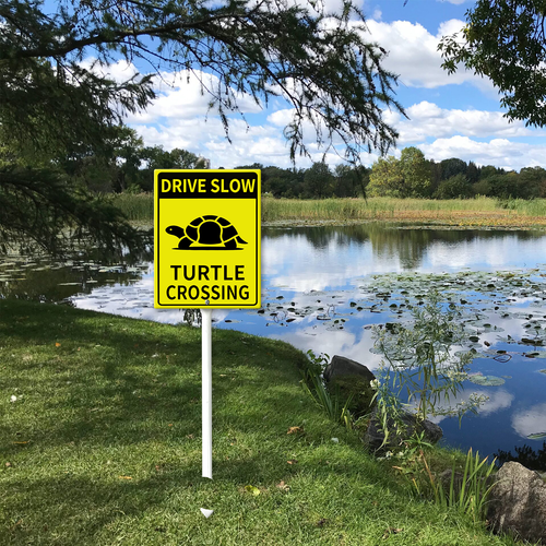 drive slow turtle crossing 51.png