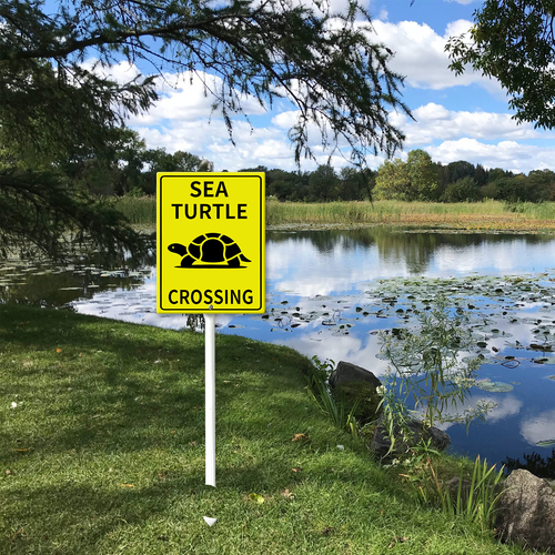 sea turle crossing 51.png