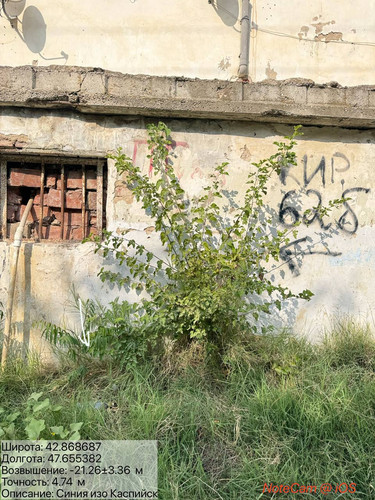 photo 11 2025 08 08 19 22 00.jpg