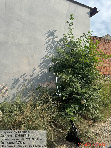 photo 9 2025 08 08 19 22 00.jpg