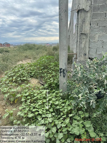 photo 3 2025 08 08 19 22 00.jpg