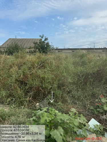 photo 6 2025 08 08 19 22 00.jpg