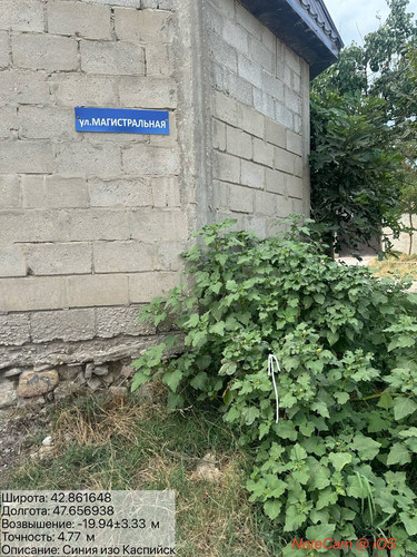 photo 5 2025 08 08 19 22 00.jpg