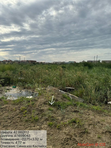 photo 4 2025 08 08 19 22 00.jpg