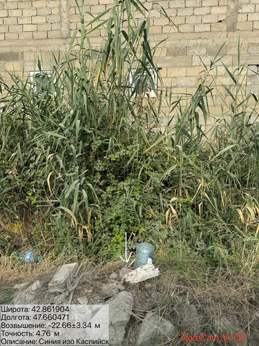 photo 7 2025 08 08 19 22 00.jpg