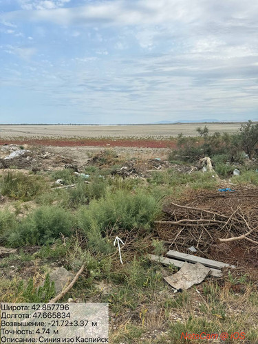 photo 2 2025 08 08 19 22 00.jpg