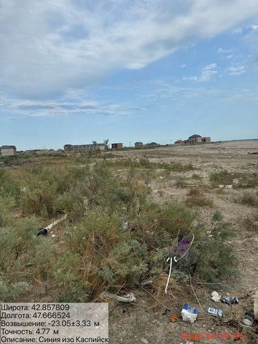 photo 1 2025 08 08 19 22 00.jpg