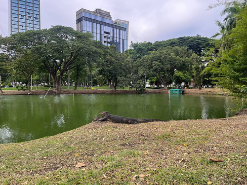 543151671 AgACAgIAAxkBAAKBXmiWKIAC4tnlYqYL Rz9 46oJPoDAAJr9DEbVHWxSIYxj562CODUAQADAgADeQADNgQ.jpg