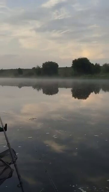 5 HfkPicuBxA1FB9.jpg