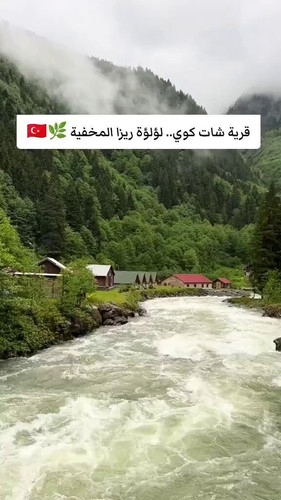 m9nuPlOlJ0 Qqy5n.jpg