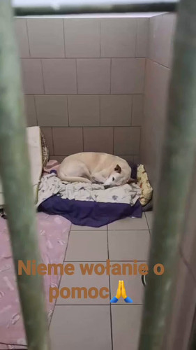 lZMWMnCgP55I uxp.jpg