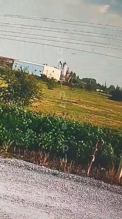 nIdRhoLiivUeCm7 .jpg