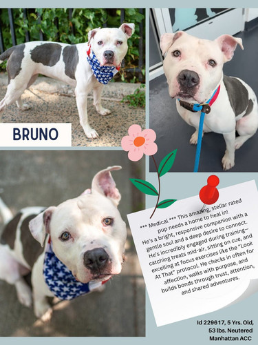 GxEF A6bEAAsjyl?format=jpg.jpg