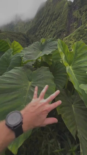 AUSuIlBu f1jtKkw.jpg