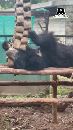 8 BPbsdCwq 6qL0U.jpg