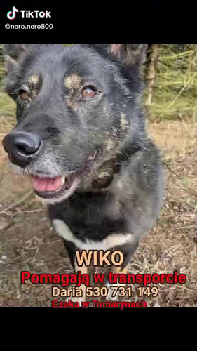 Sc3G5Fzcte 4Fam3.jpg