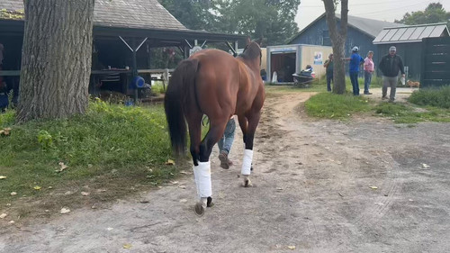 GSqwb43 32TQuG1h.jpg