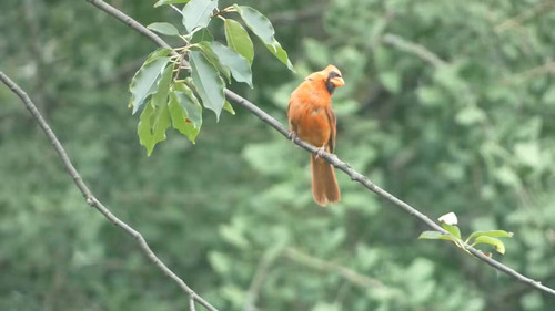 oIWrB7HlFA3 TZYz.jpg