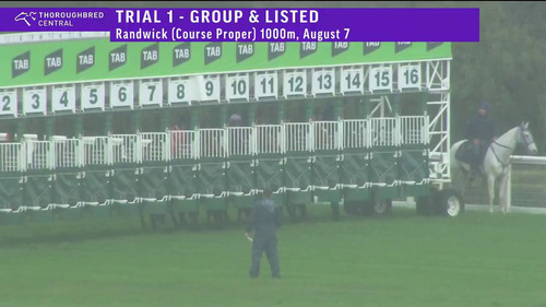 56Z20Rc FDt9NJhU.jpg