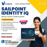 Start Learning Sailpoint Identity IQ Online Training Today