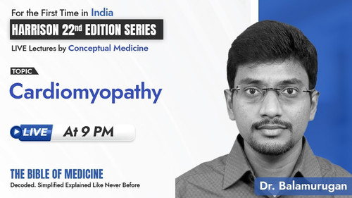 WhatsApp Image 2025 08 08 at 11.03.09 AM (1).jpg