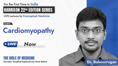 WhatsApp Image 2025 08 08 at 11.03.09 AM.jpg