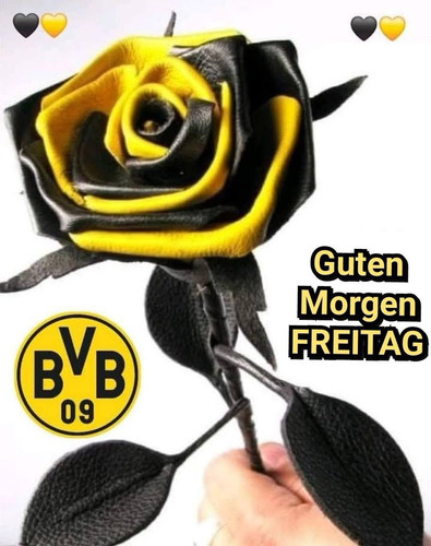GxyiDntXEAAQyqo.jpg