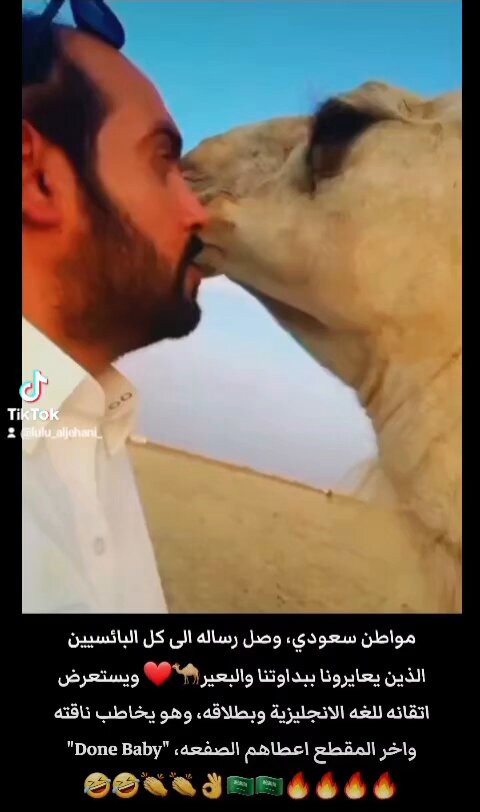 7rXnVrYjpRZLVMlT.jpg