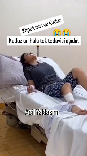 nHpXWHhgDlGujXB4.jpg