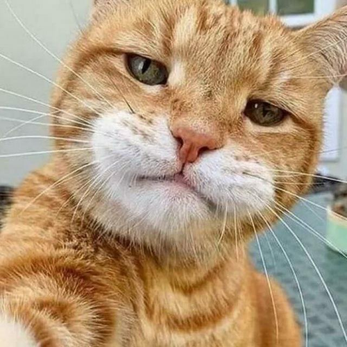 +62 857 2042 0477 20250808 073714.png