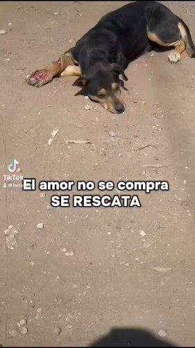 8Le23mgkHLPI6hz8.jpg
