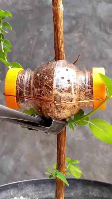 v0h 4iQmgLCAZY8I.jpg