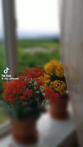 HpGv qyTRpzwzk1G.jpg