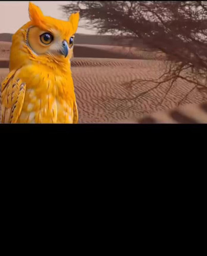 DQTppCpATJsJW8hO.jpg