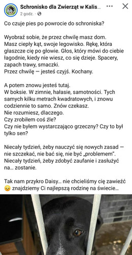 GxrGeL0XkAAMIAs.jpg