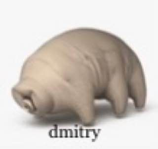 tardigrade Dmitry.jpg