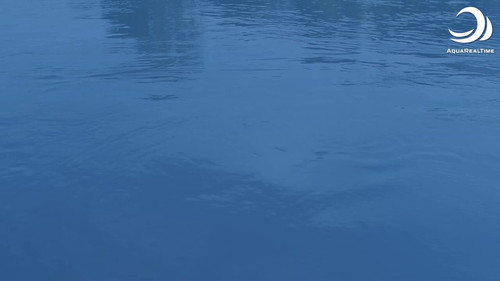 L C3l86tOSL4v1fd.jpg