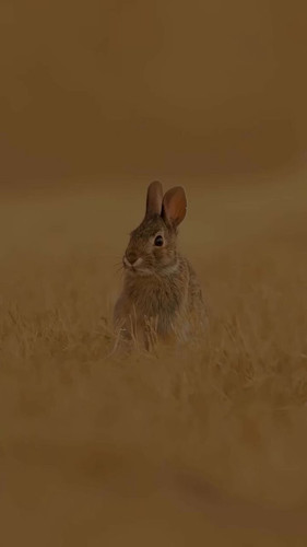 jMm5rF Fe47qkDP0.jpg