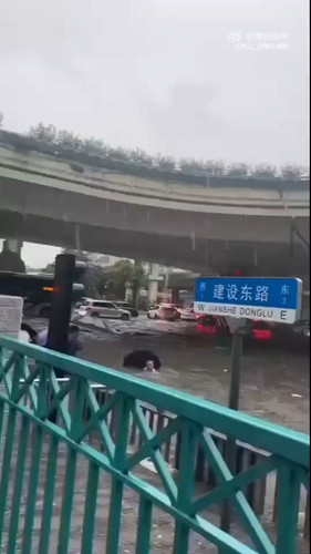 TRRjlzv qp3nwcSw.jpg