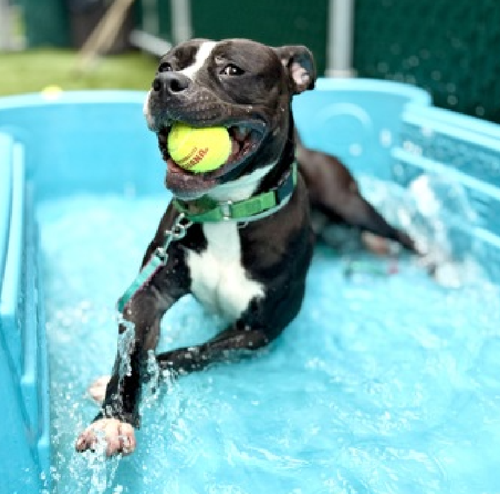 GtaTxQzXQAAB Sb?format=png.png