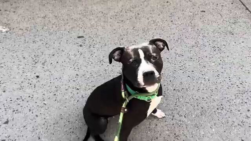 WMEoeB0 s BKai6f.jpg