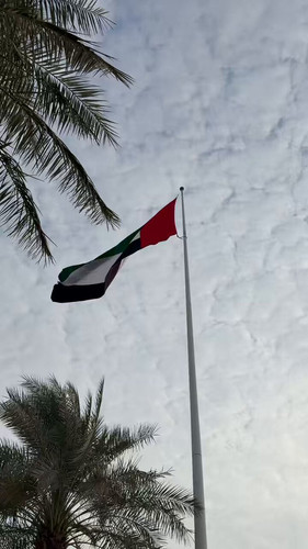 d qb8GrpO1SipHug.jpg