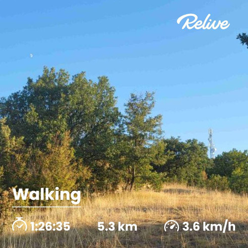 526394186 24565960749675984 6141073622385124379 n.jpg